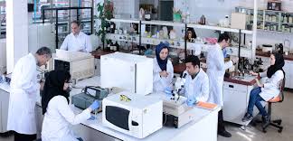 Iranian researchers develop new drug delivery system